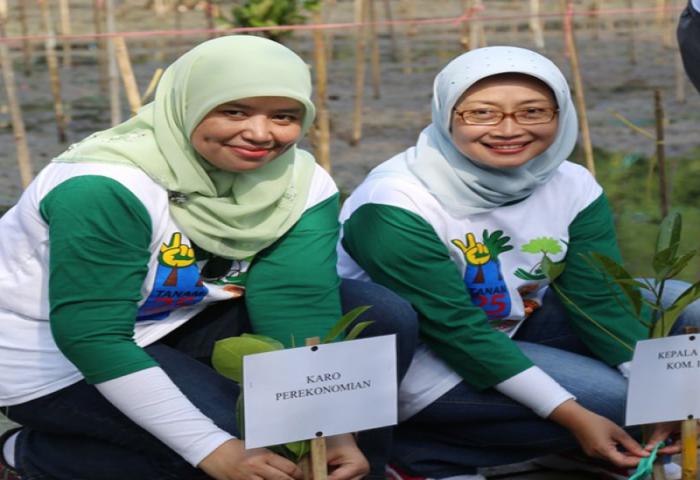 Pemprov DKI Siap Tanam 18.000 Pohon Cabai